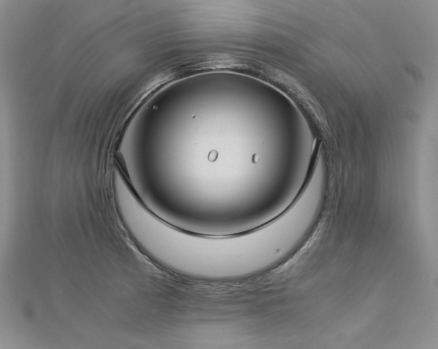 X0000113151185200909041226