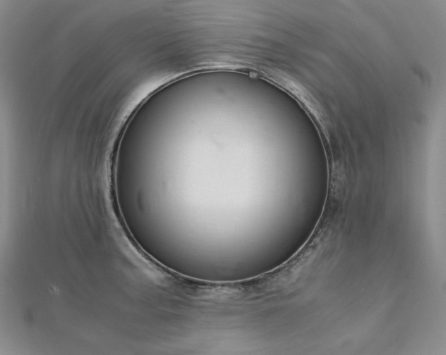 X0000113151187200909041226