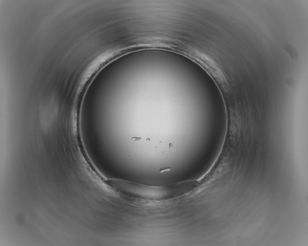 X0000113151188200909041226