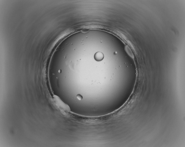 X0000113151189200909041226