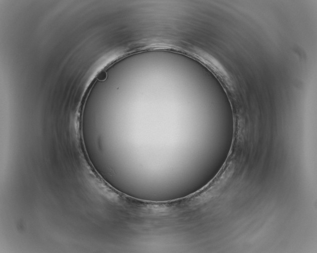 X0000113151190200909041226