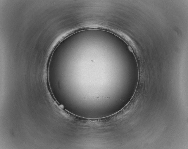 X0000113151191200909041226