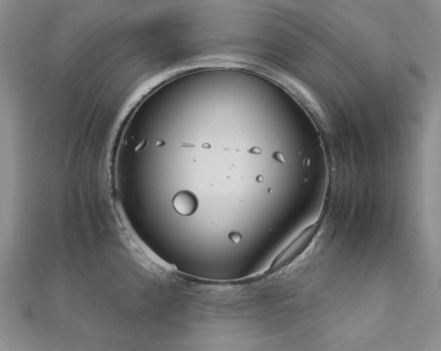 X0000113151192200909041226