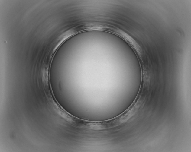 X0000113151194200909041226