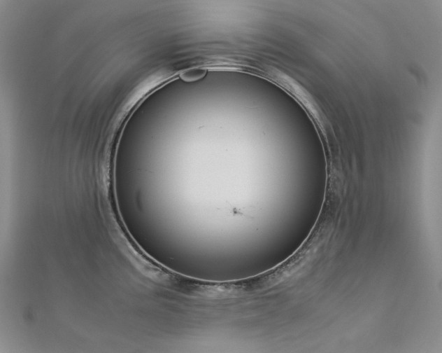 X0000113151195200909041226