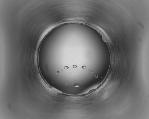 X0000113151196200909041226