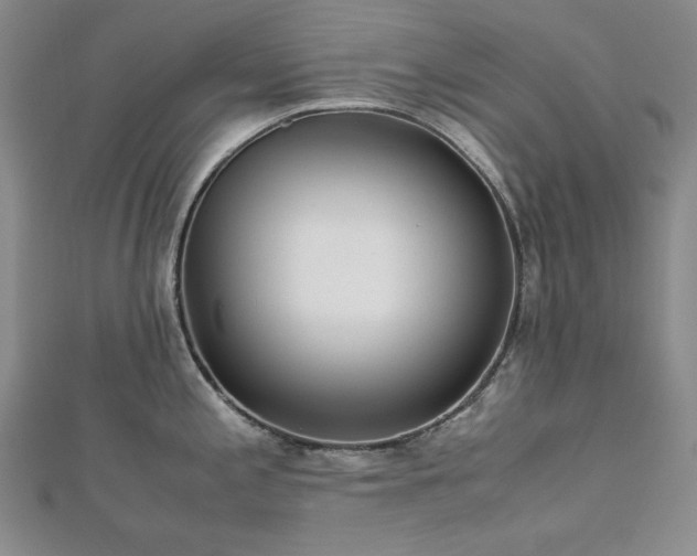 X0000113151197200909041226