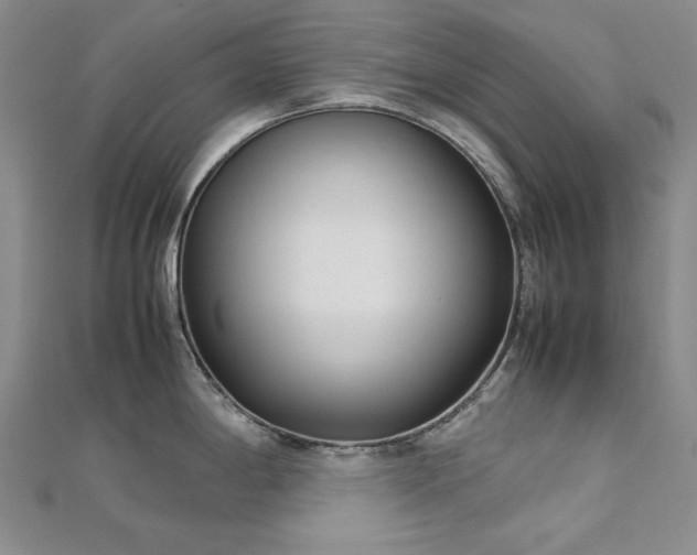 X0000113151198200909041226