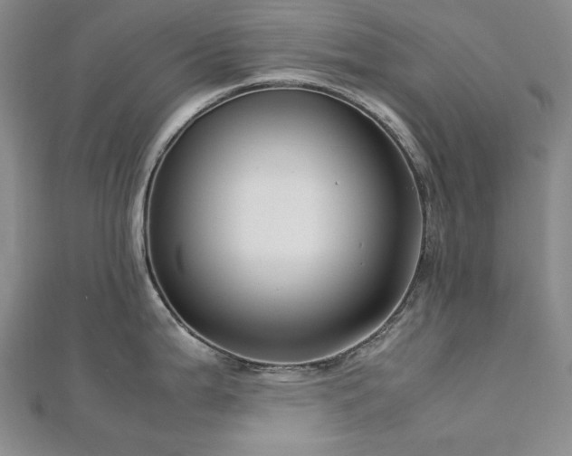 X0000113151199200909041226