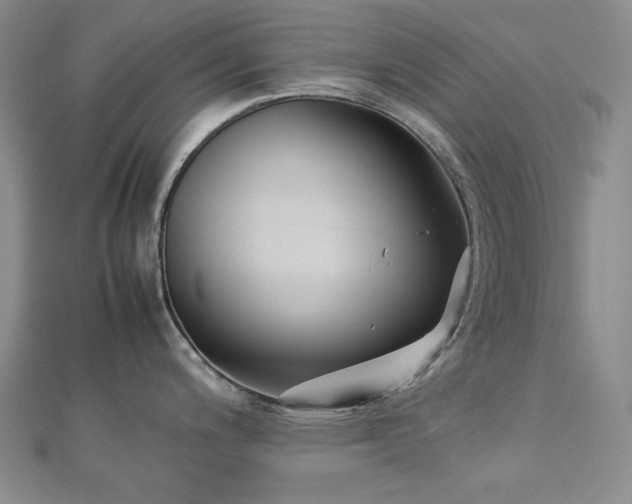 X0000113151200200909041226