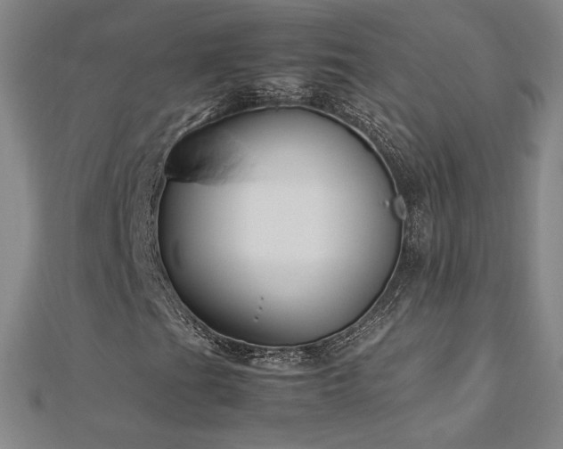 X0000113151201200909041225