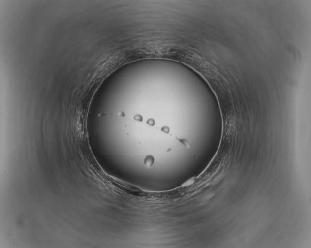 X0000113151202200909041225