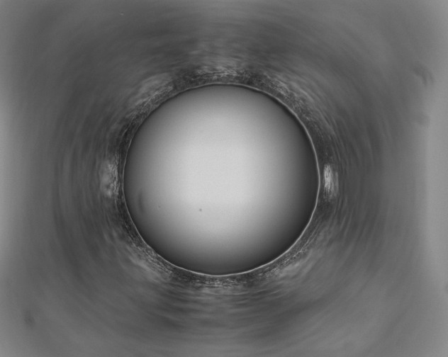 X0000113151203200909041225