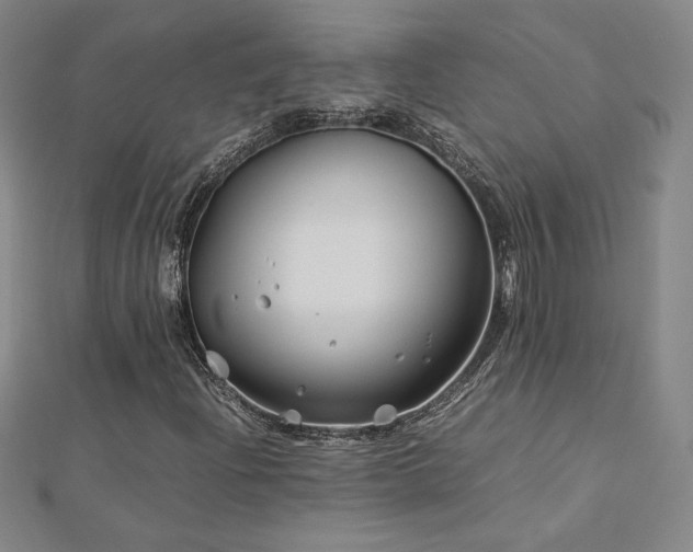 X0000113151204200909041225