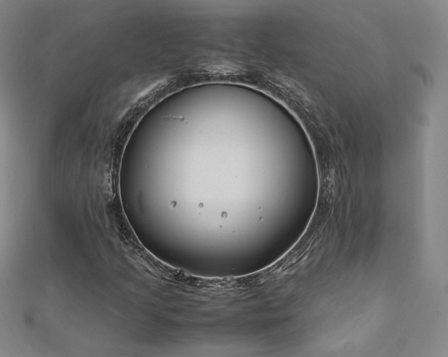 X0000113151205200909041225