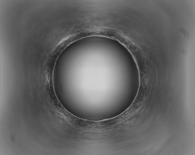 X0000113151206200909041225