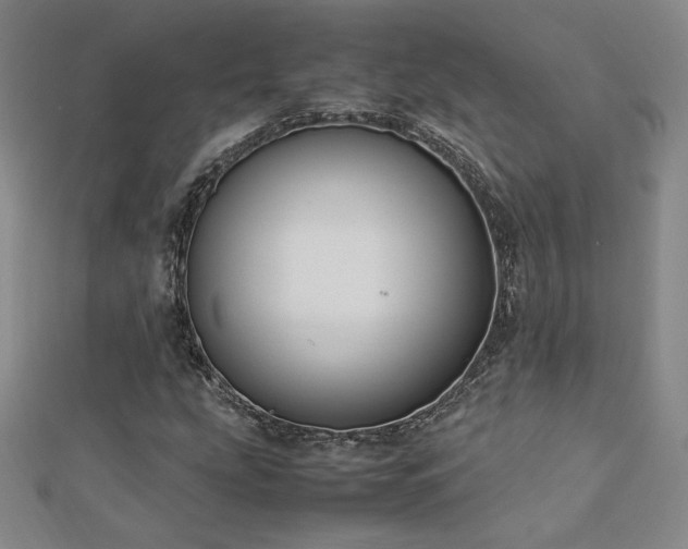 X0000113151207200909041225