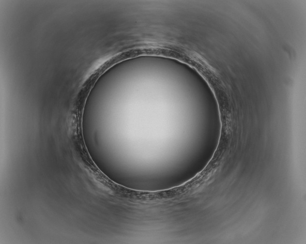 X0000113151208200909041226