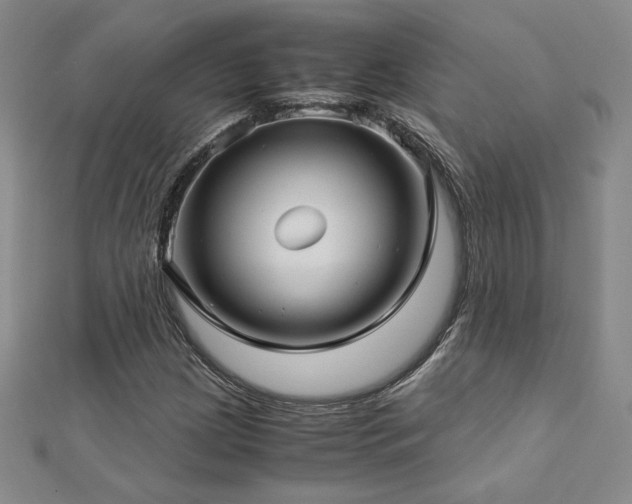 X0000113151209200909041226