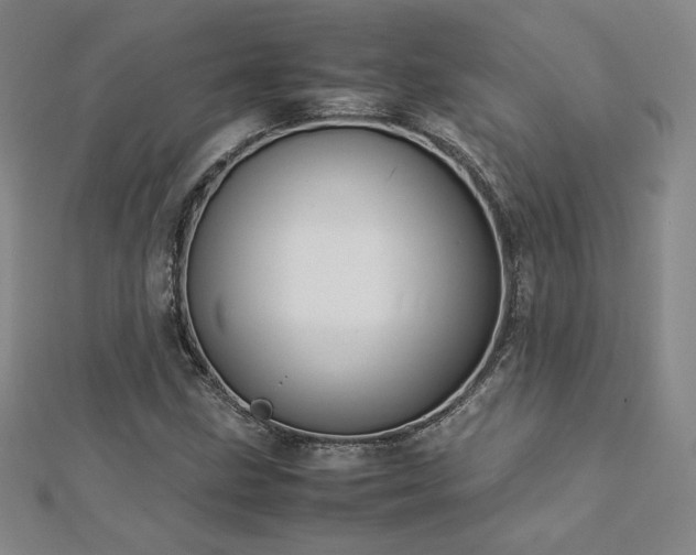 X0000113151211200909041226