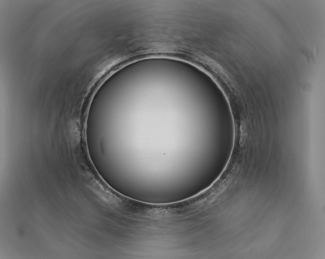 X0000113151212200909041226