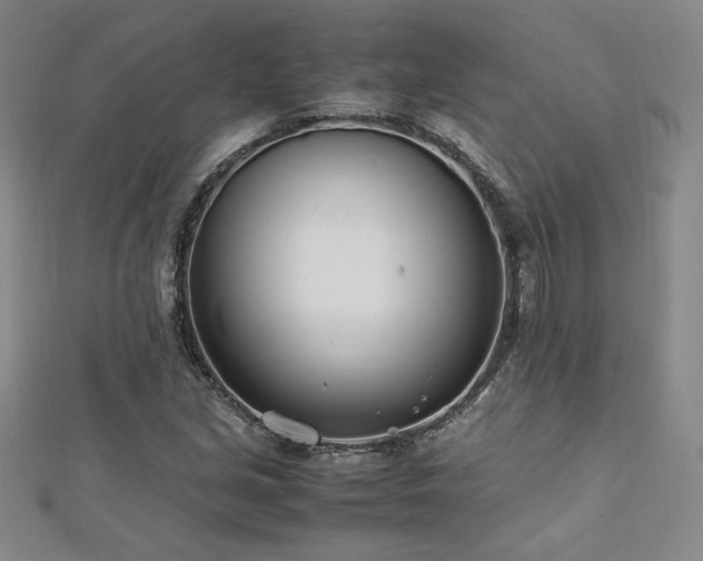 X0000113151213200909041226