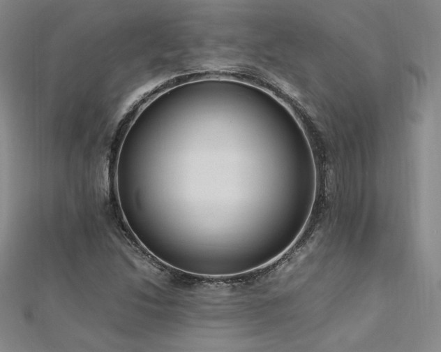 X0000113151214200909041226