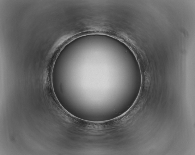 X0000113151215200909041226