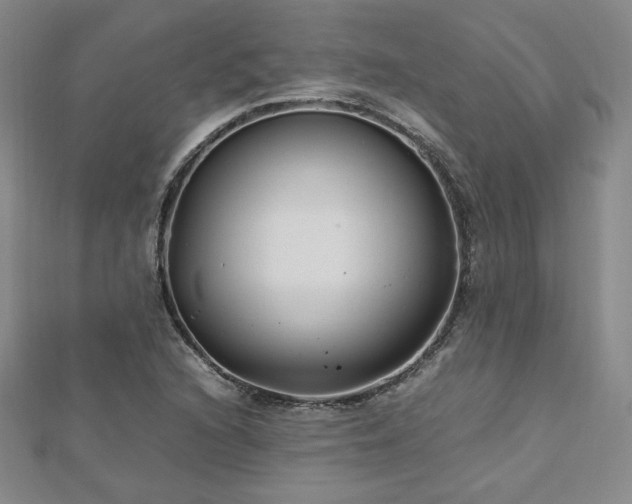 X0000113151216200909041226