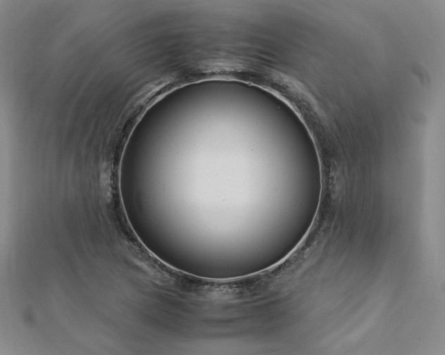 X0000113151217200909041226