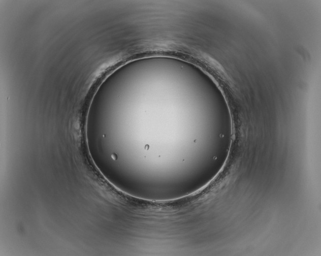 X0000113151218200909041226