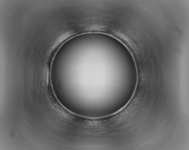 X0000113151219200909041226