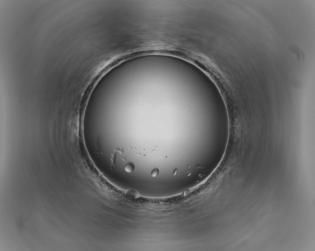 X0000113151220200909041226