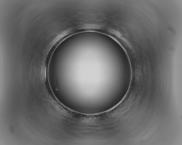 X0000113151221200909041226