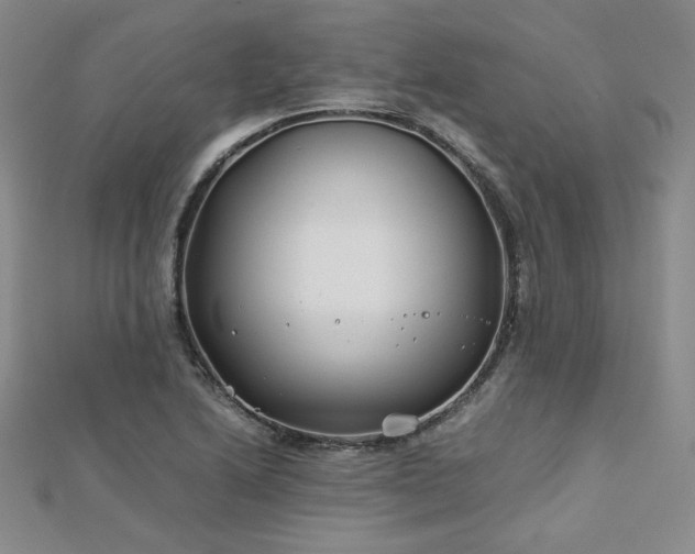 X0000113151222200909041226