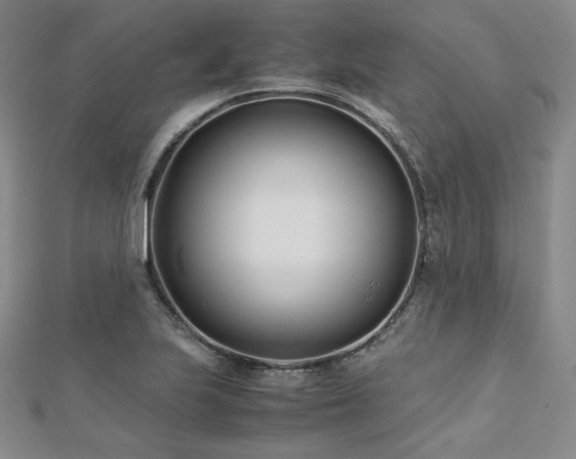 X0000113151223200909041226