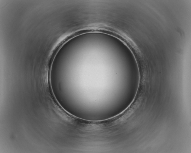 X0000113151224200909041226