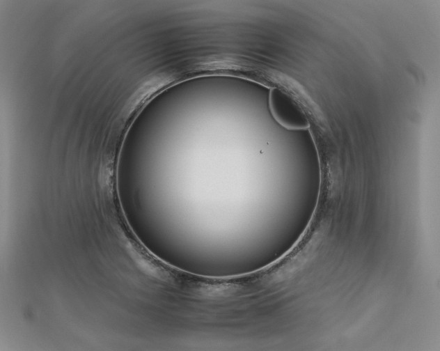 X0000113151225200909041226