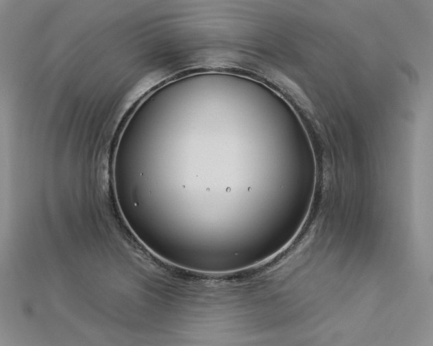 X0000113151226200909041226