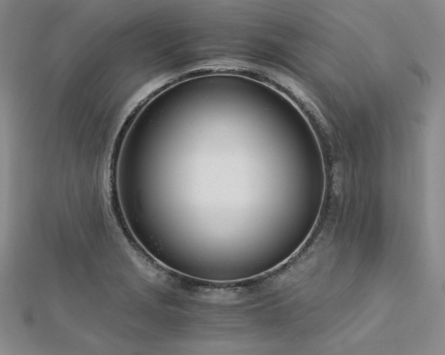 X0000113151229200909041226