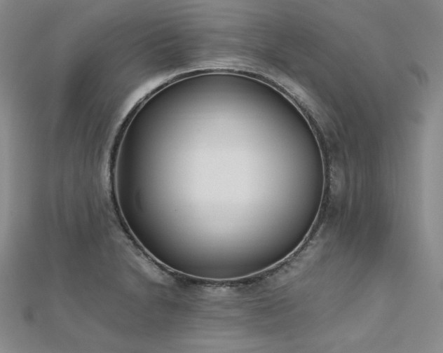 X0000113151230200909041226