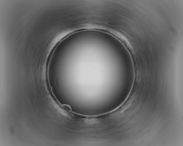 X0000113151231200909041226