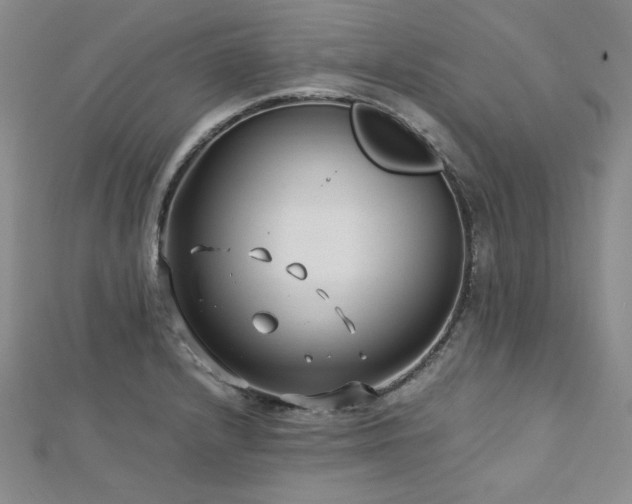 X0000113151232200909041226