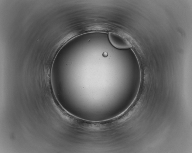 X0000113151233200909041226