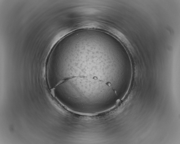 X0000113151234200909041226