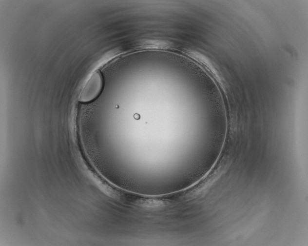 X0000113151235200909041226