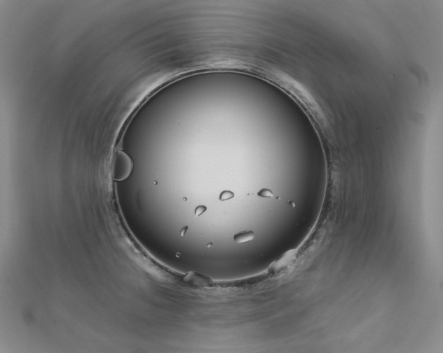 X0000113151236200909041226