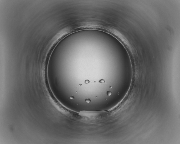 X0000113151237200909041226