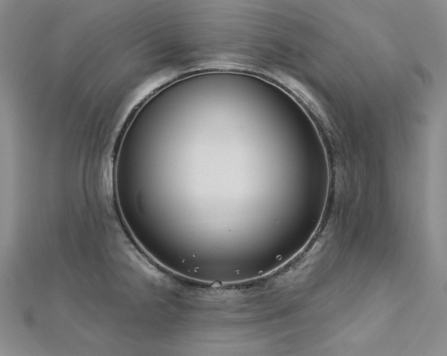 X0000113151238200909041226