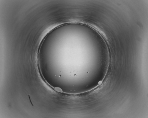 X0000113151239200909041226